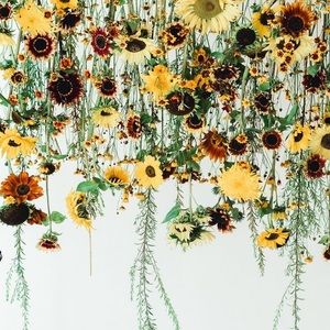 Please buy! Everything MUST go!